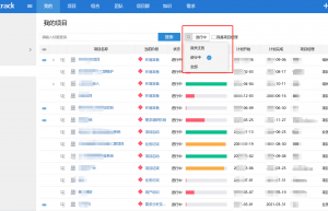 靠年终总结获得了核心项目的机会