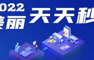 美丽天天秒开发模式介绍缩略图
