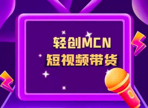 轻创MCN系统模式制度分析和开发案例实战分享插图