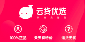 云货优选是什么？云货优选开发技术提供源码插图