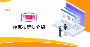 索芙特特惠拍系统开发和模式介绍插图