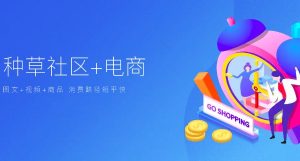 什么是种草电商系统？包含那些功能插图