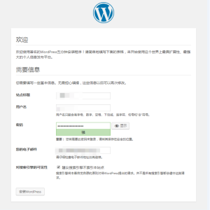 用WordPress搭建网站插图19