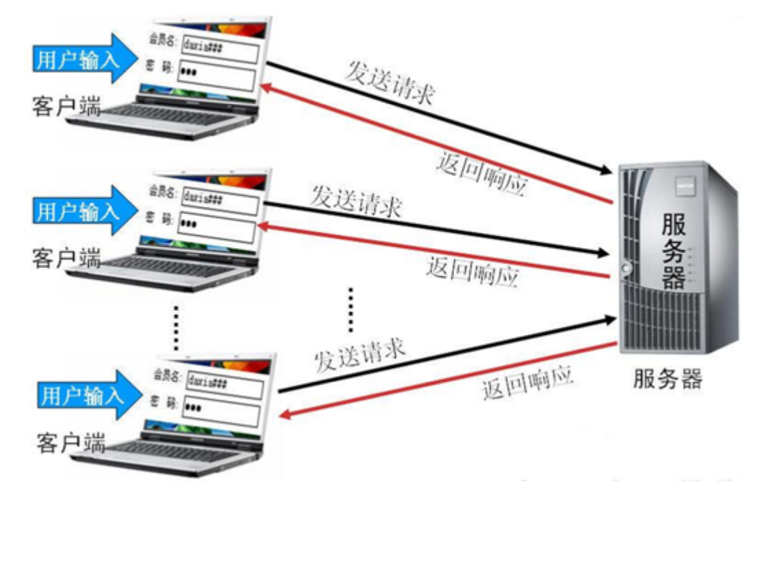 HTML  表单详解插图