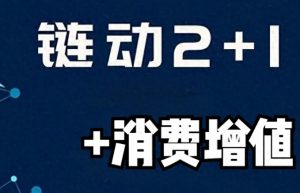 链动模式2024版本功能开发分析（第一章）缩略图