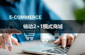 链动模式开发设计和源码交付分析（第四章）缩略图
