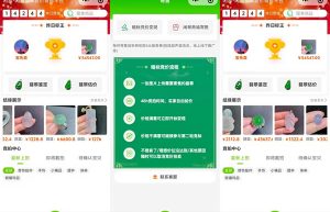 竞拍寄售模式小程序开发技术功能架构分析缩略图