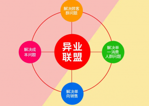 什么是异业联盟系统？异业联盟系统功能开发核心架构插图2